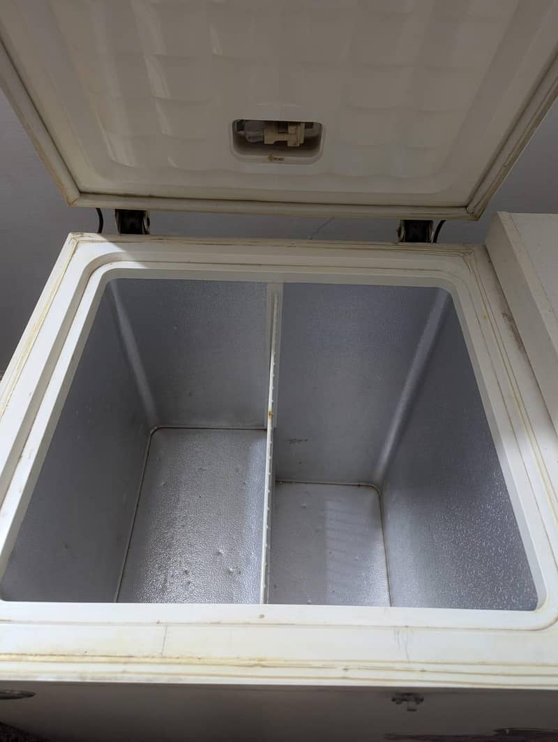 Double Door Freezer 6