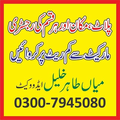 Expert All Types Registry