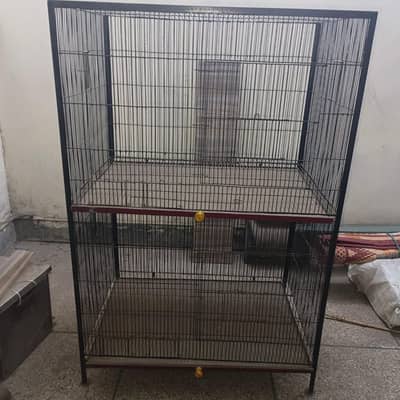 cage of birds