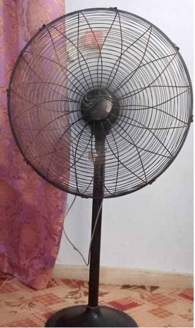 pedistal fan