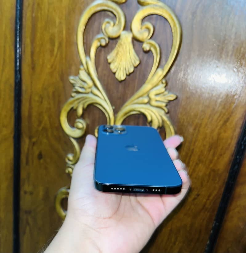 iPhone 12 Pro 1