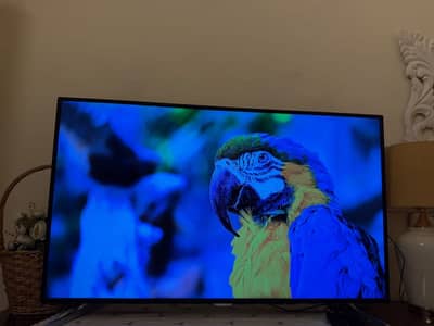 Chinese TV 50 Inch Smart Tv