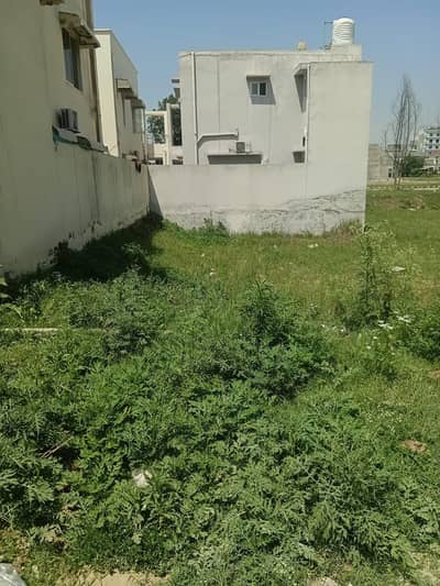 10 Marla Plot for urgent Sale in Citi Housing Sialkot