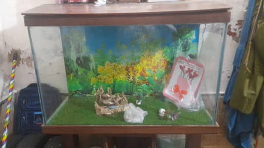 aquarium