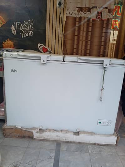 Haier Chiller/D freezer