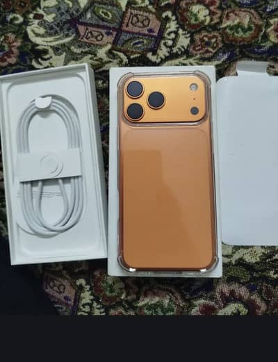 17 Pro Max Orange
