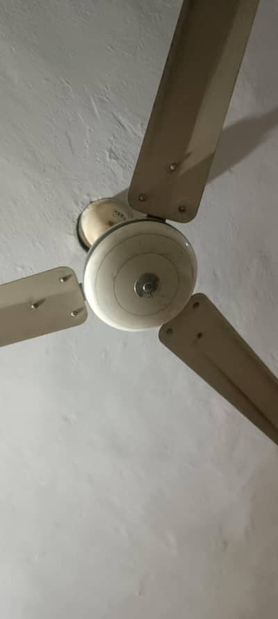 ceiling fan