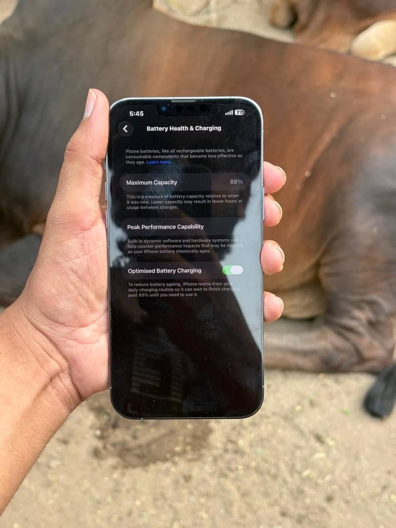 iPhone 13 pro max 2