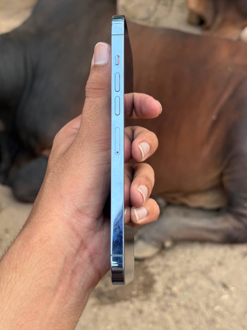 iPhone 13 pro max 3