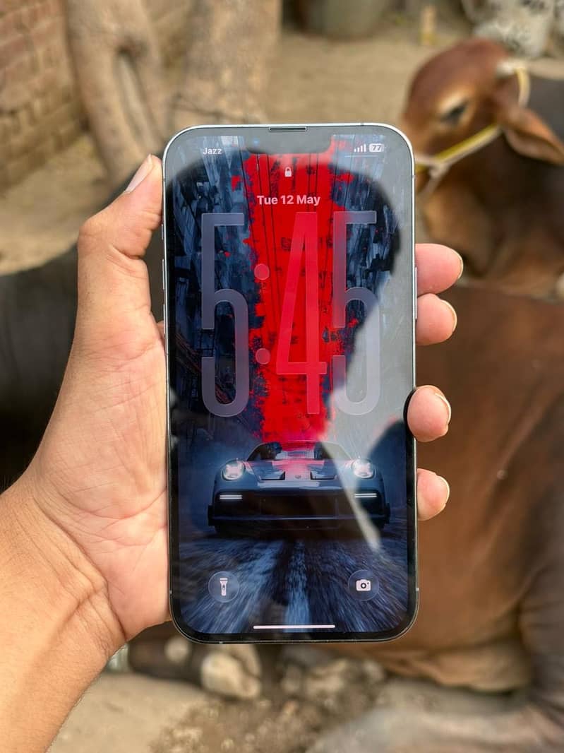 iPhone 13 pro max 5