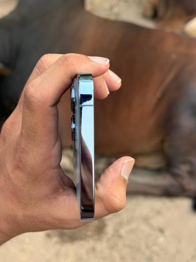 iPhone 13 pro max 8