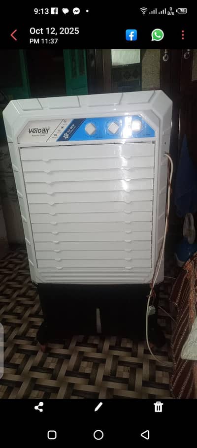 12 volt cooler