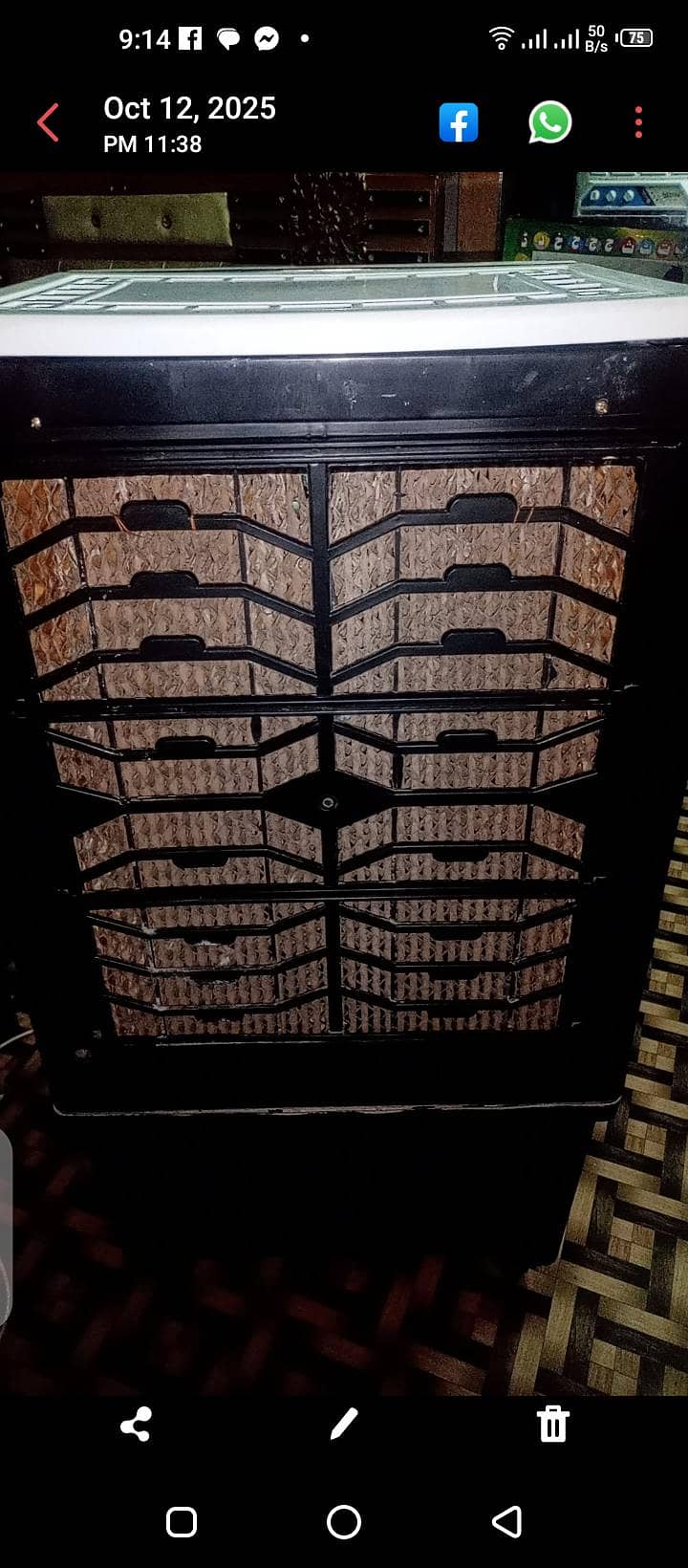 12 volt cooler 1