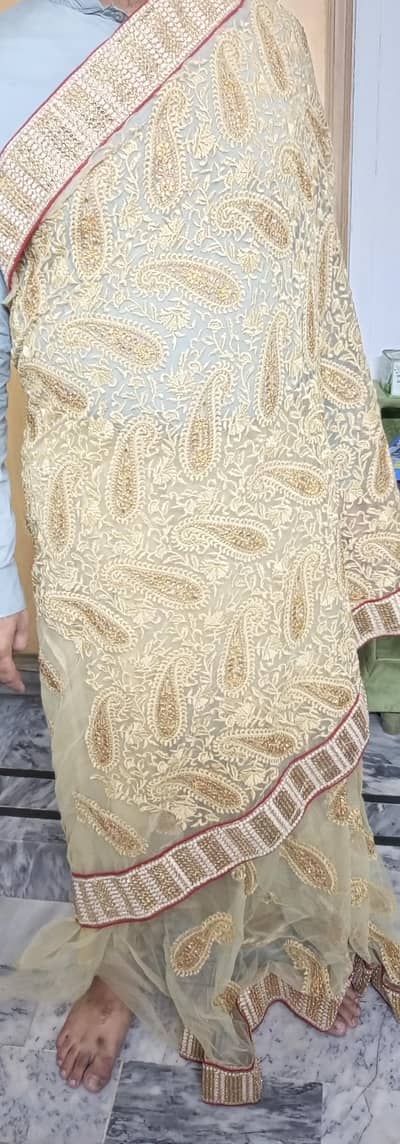 beautiful saree