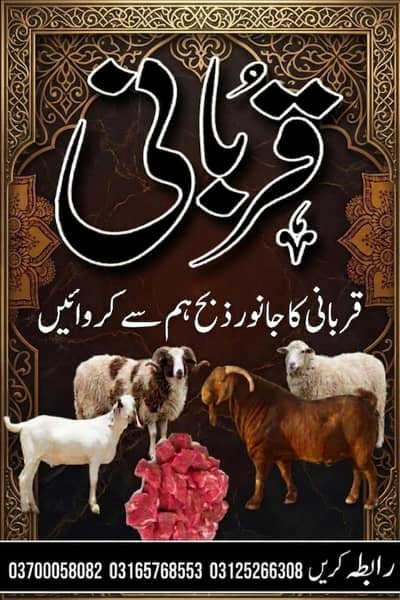 03165768553 Qurbani ka Janwar zibah karvayen Humse Rawalpindi location