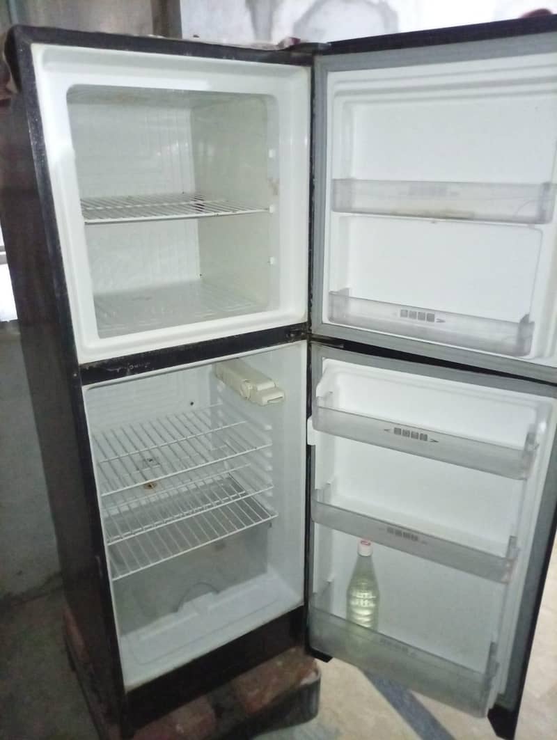 freezer 1