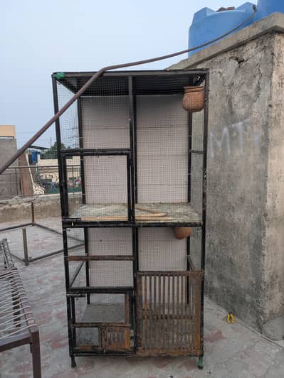 Parrot Cage 8Feet Hight 4X3 feet k 2 portion
