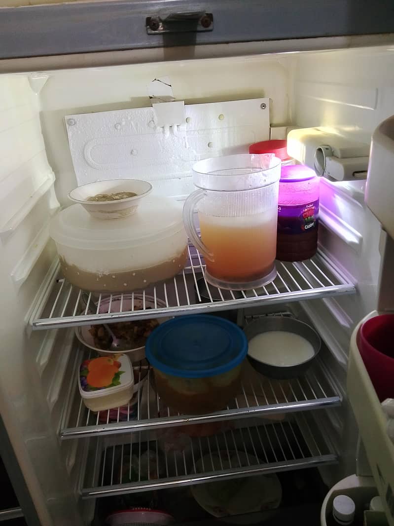 Fridge 1