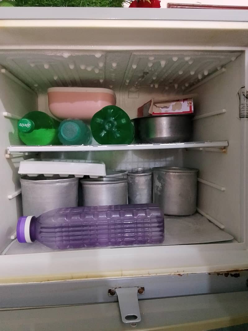 Fridge 2