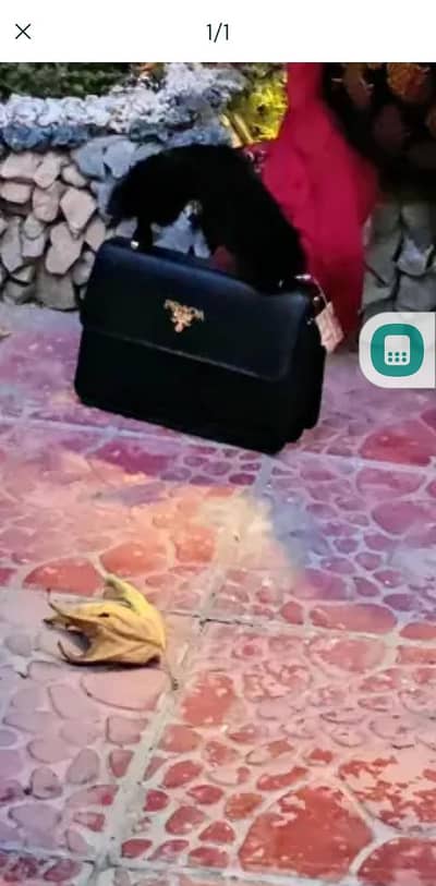hand bags