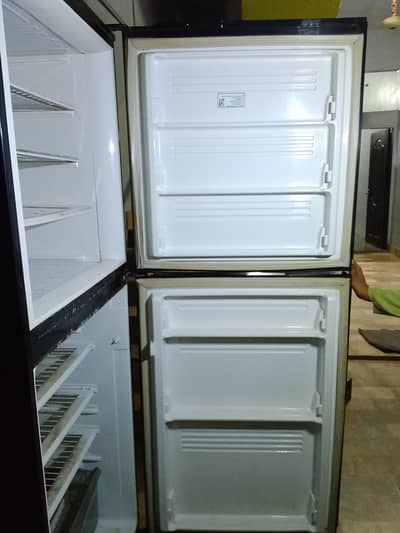 Pel Jambo Size Refrigerator