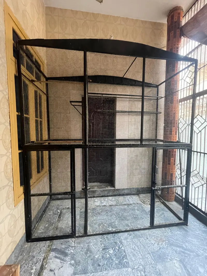 Spacious cage for Birds