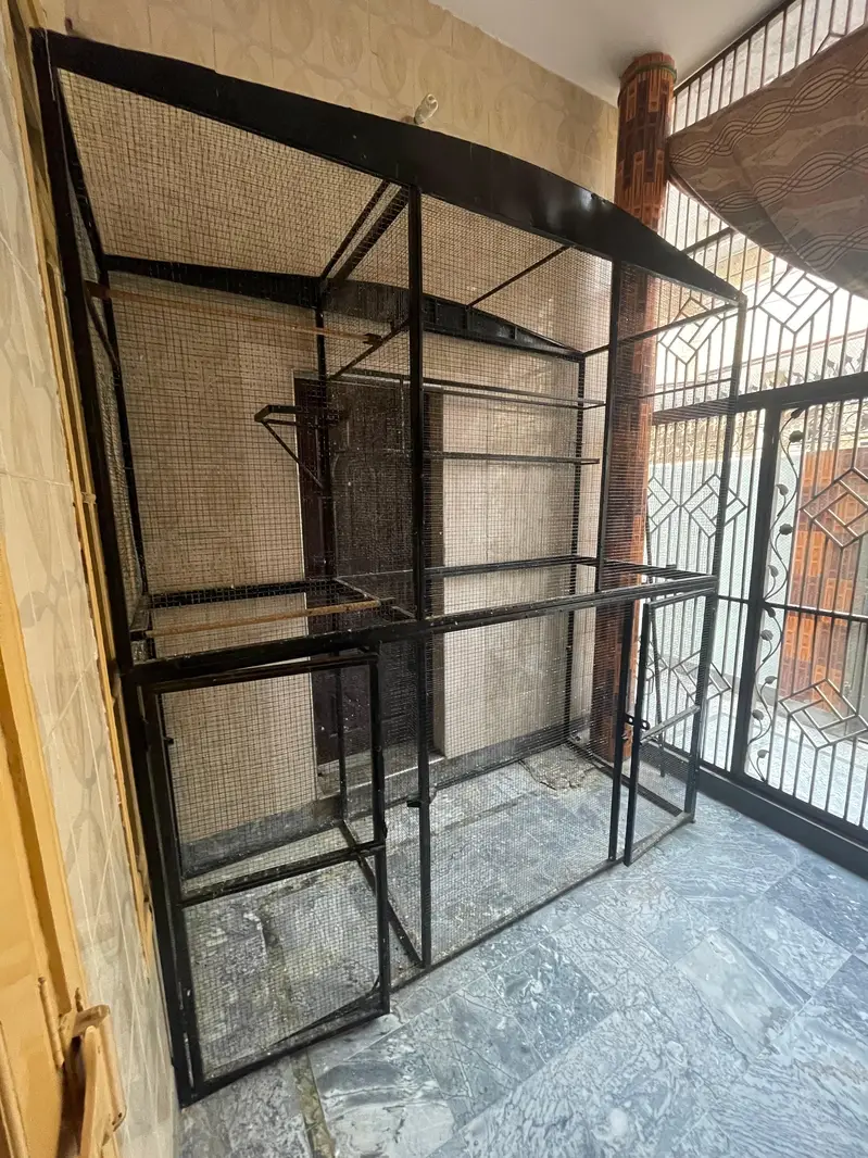 Spacious cage for Birds — photo 3