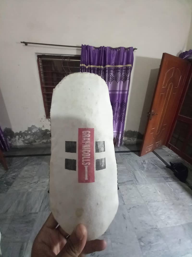Cricket kit 6