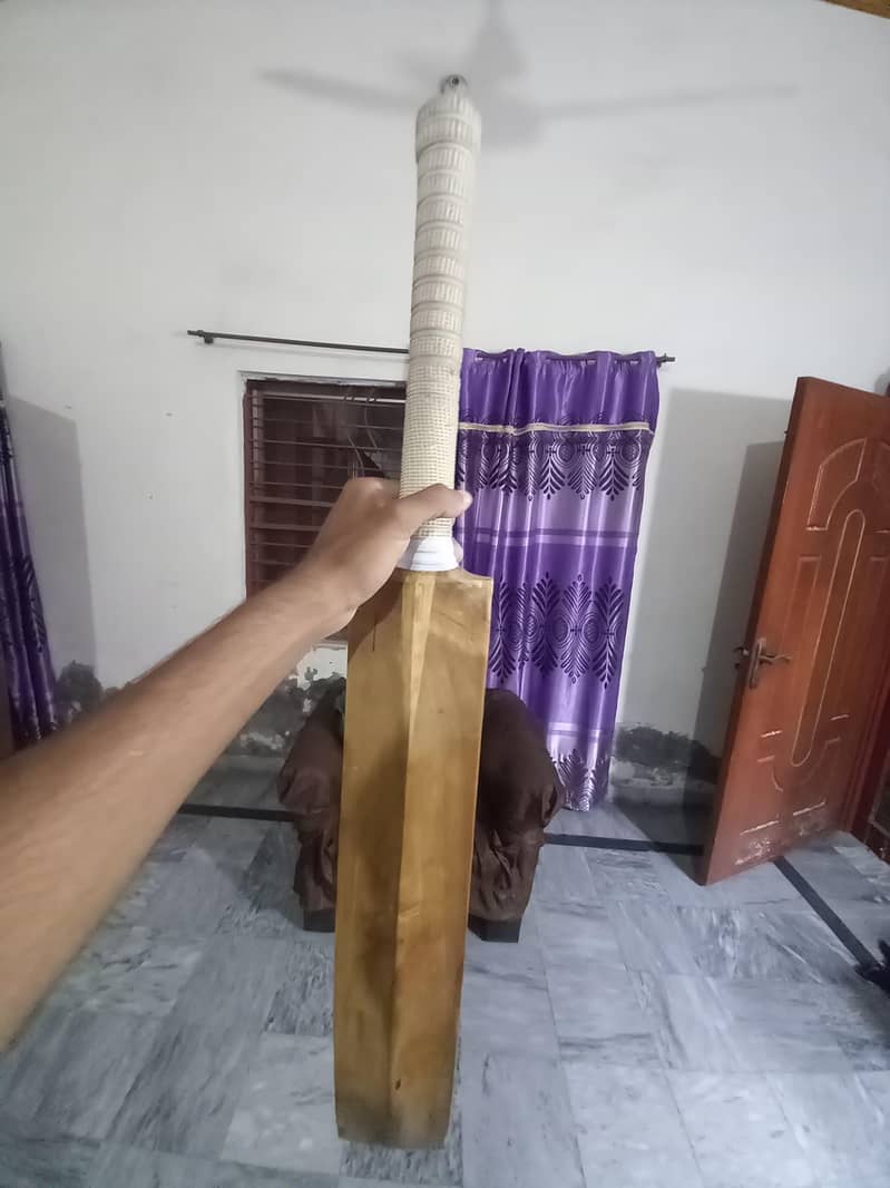 Cricket kit 7