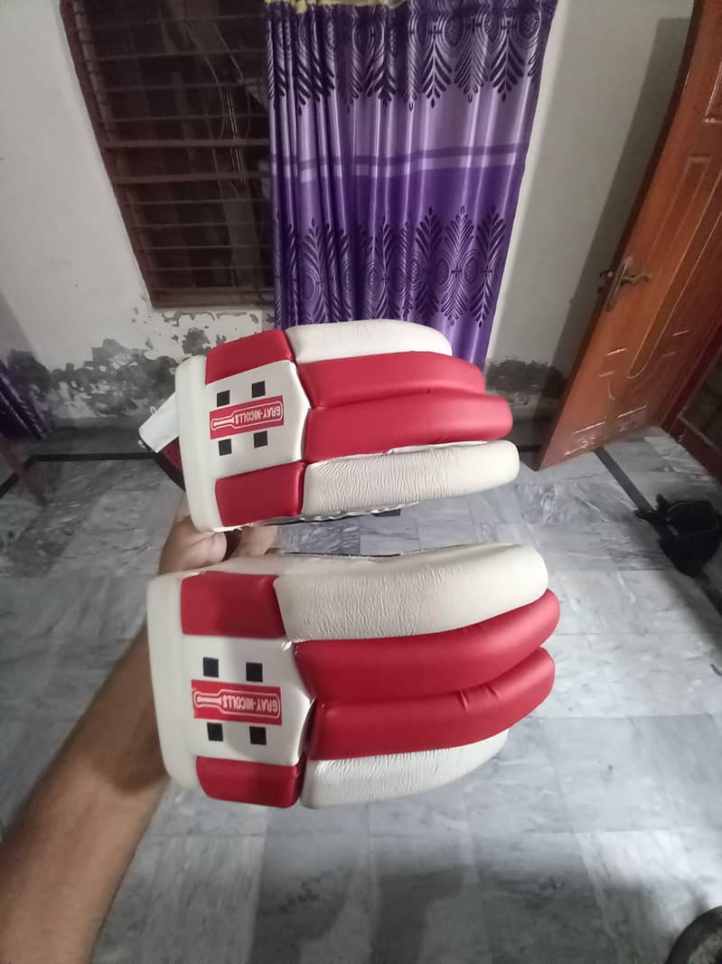 Cricket kit 8