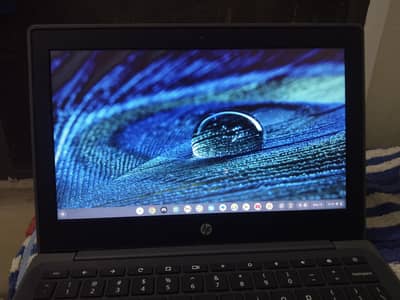 HP Chromebook 11 G8 | 32GB Storage | 4GB RAM |11.6" Display