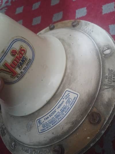 younas fan old