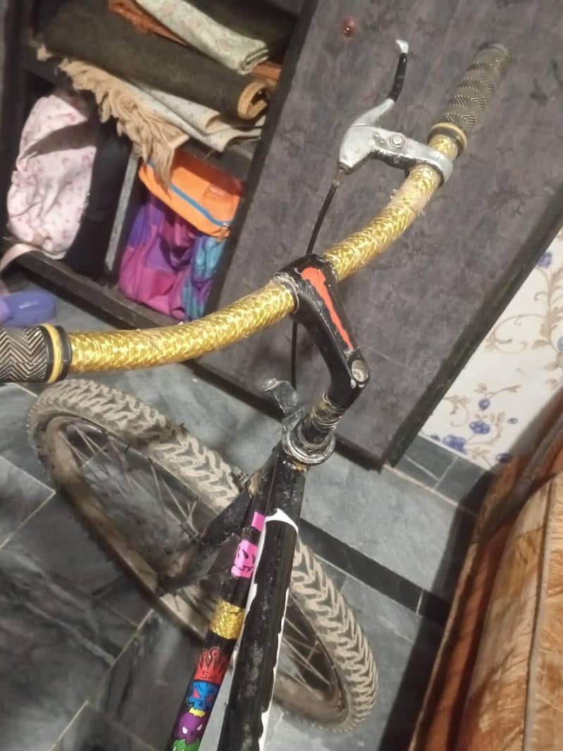 King bicycle 2
