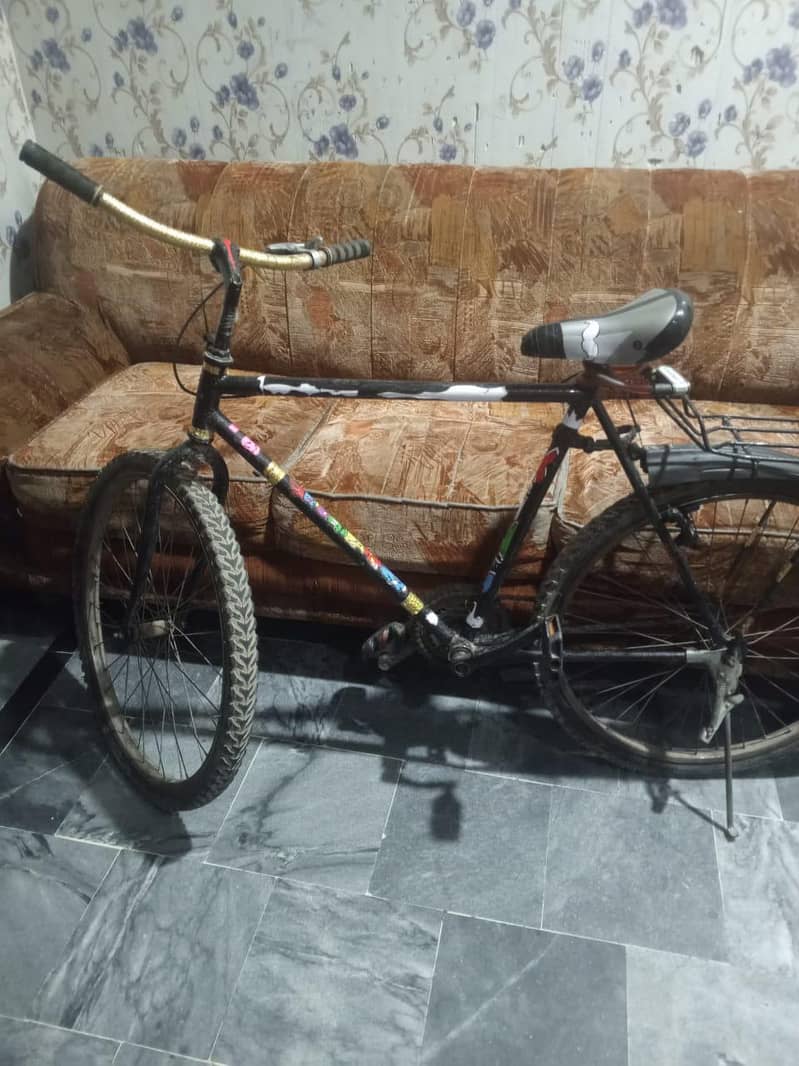 King bicycle 5