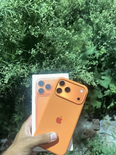 I phone 17 pro max jv 1 year warranty