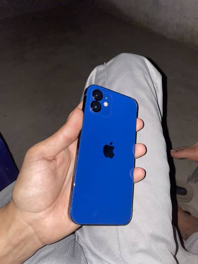 Iphone 12 jv