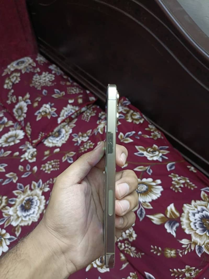 Iphone 12Pro Max 3