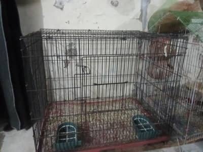 bird cage
