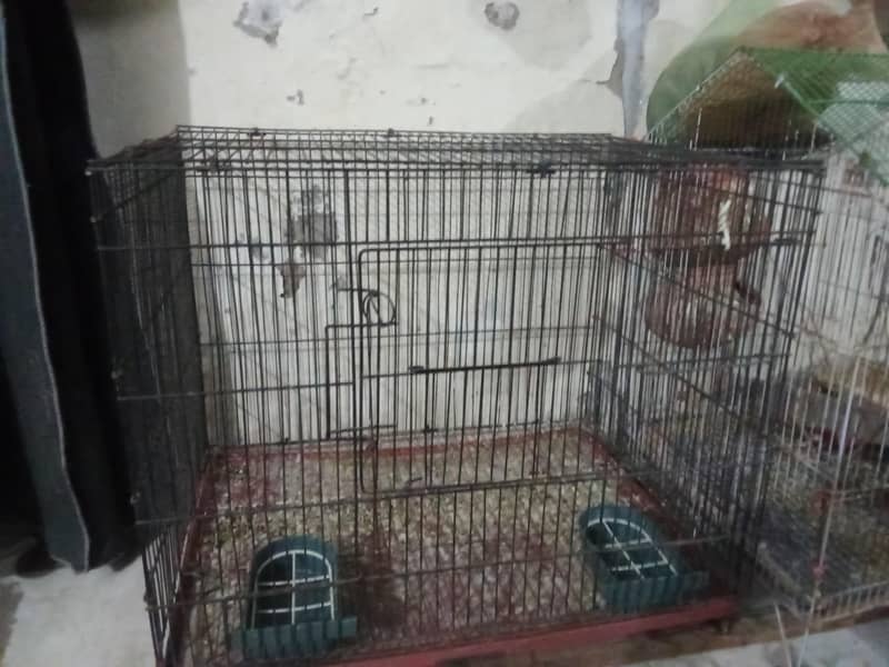 bird cage 0