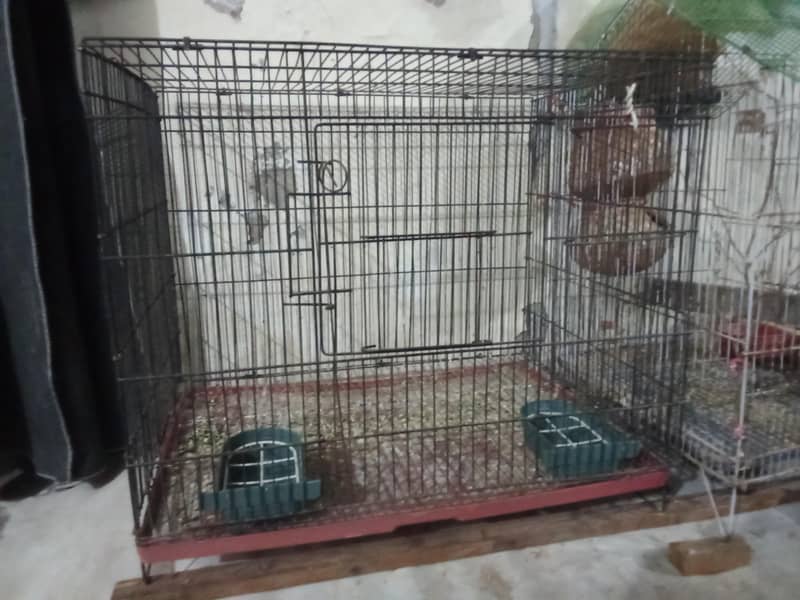 bird cage 1