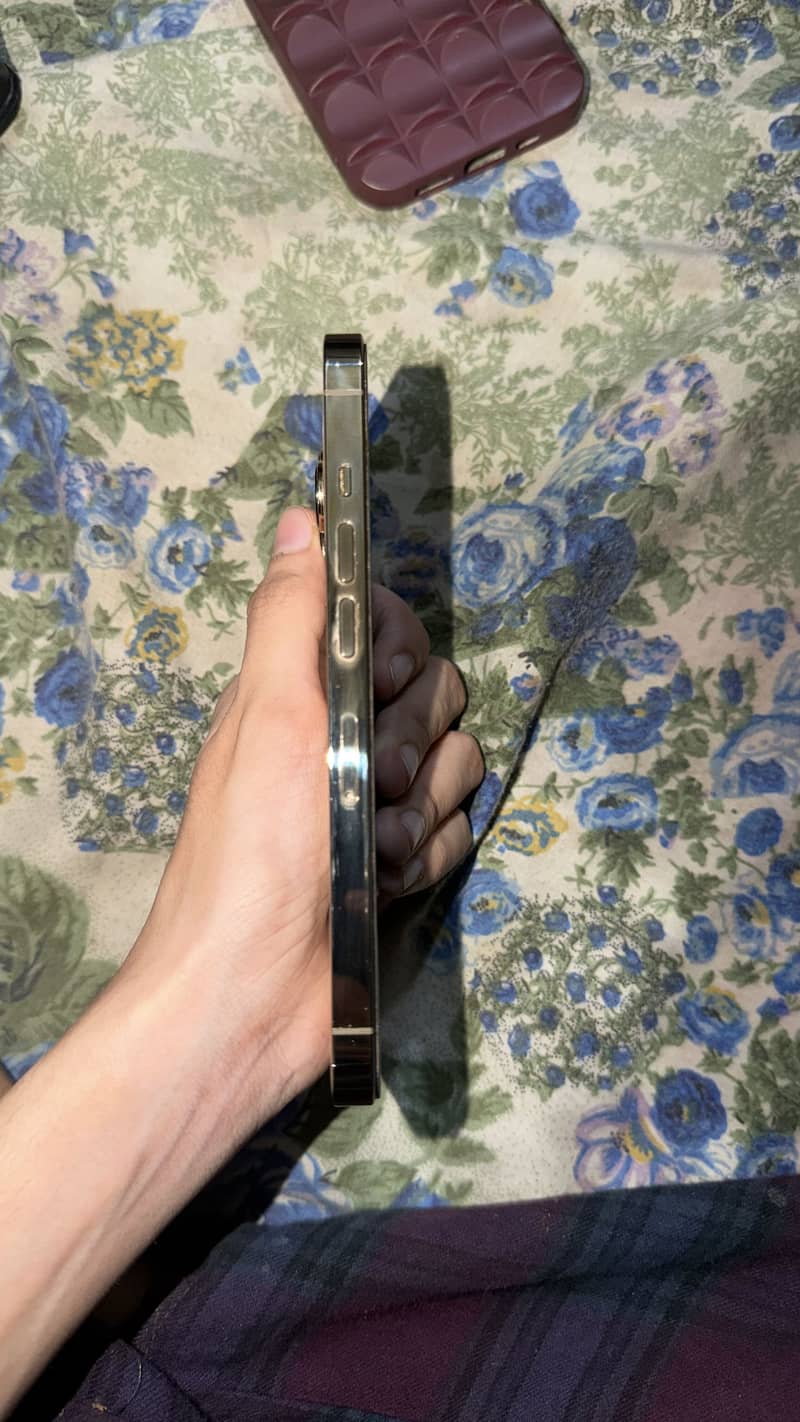 iphone 13 pro 1