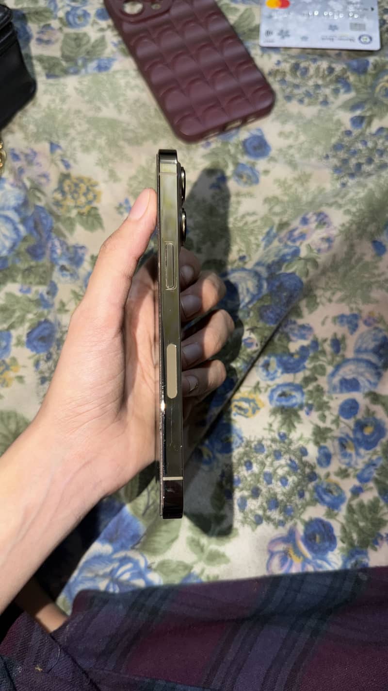 iphone 13 pro 2