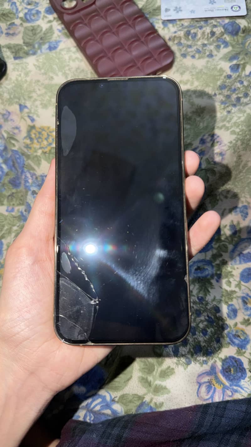 iphone 13 pro 5