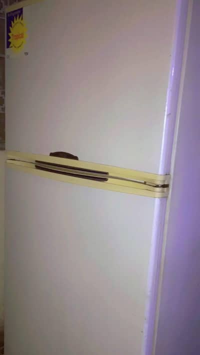 Jambo size Fridge