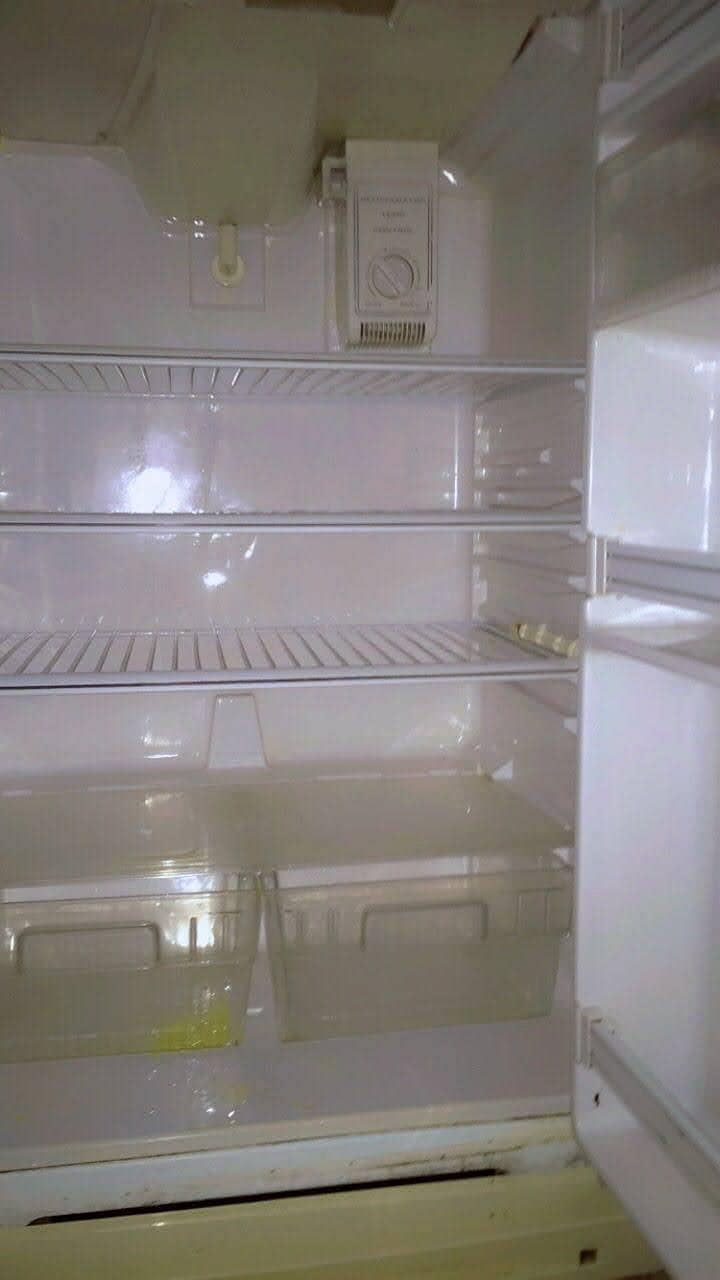 Jambo size Fridge 2