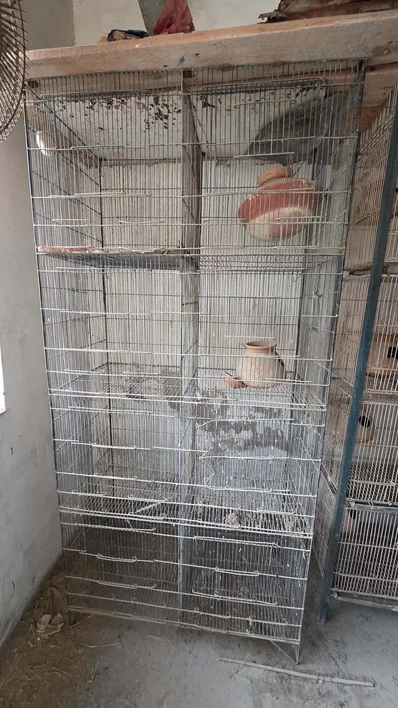 Cage 8 sections