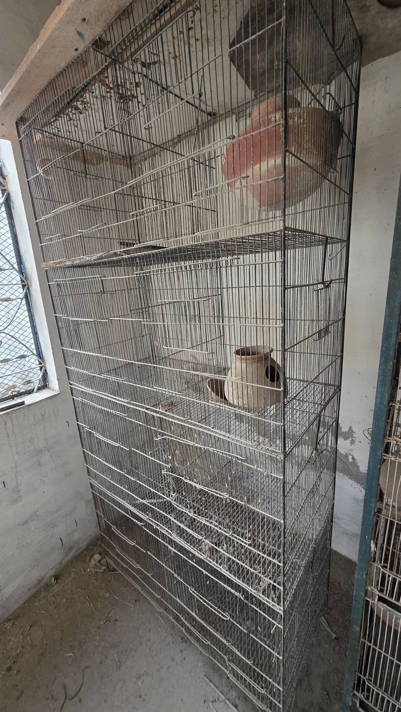 Cage 8 sections 1