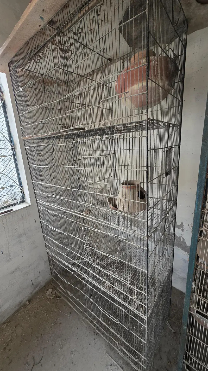 Cage 8 sections — photo 2