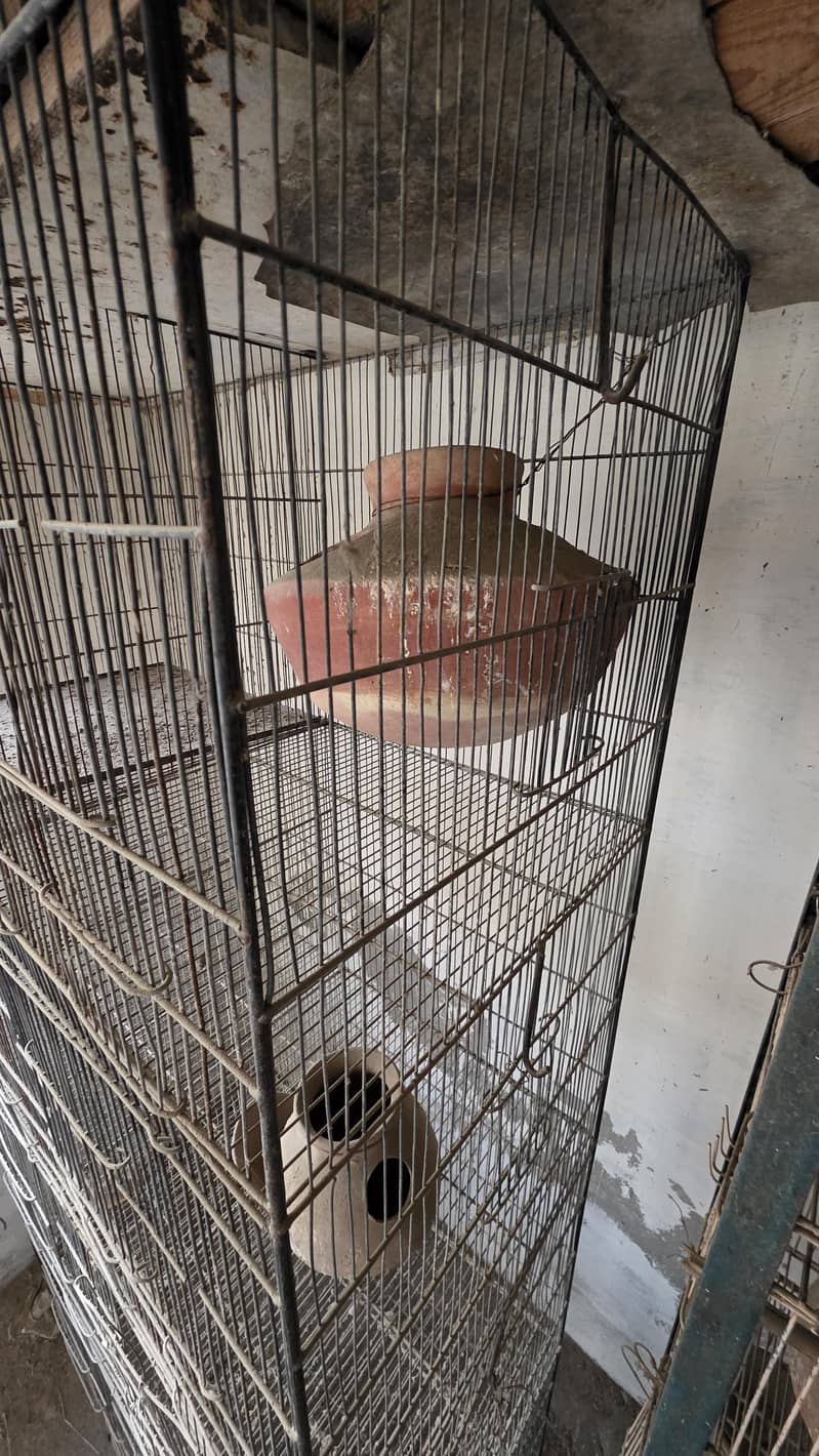 Cage 8 sections 2