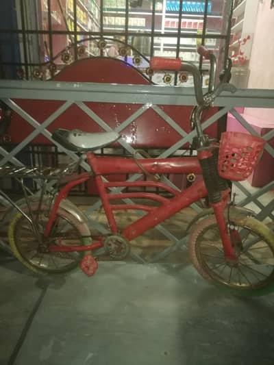 12 no cycle for kids